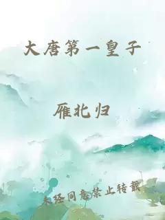 大唐第一皇子