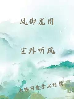 凤御龙图