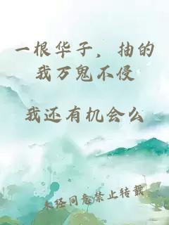 一根华子,抽的我万鬼不侵