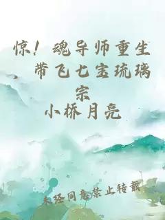 惊!魂导师重生,带飞七宝琉璃宗